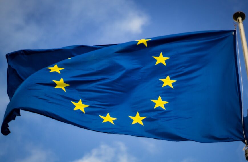 blue and yellow star flag