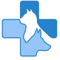 veterinario